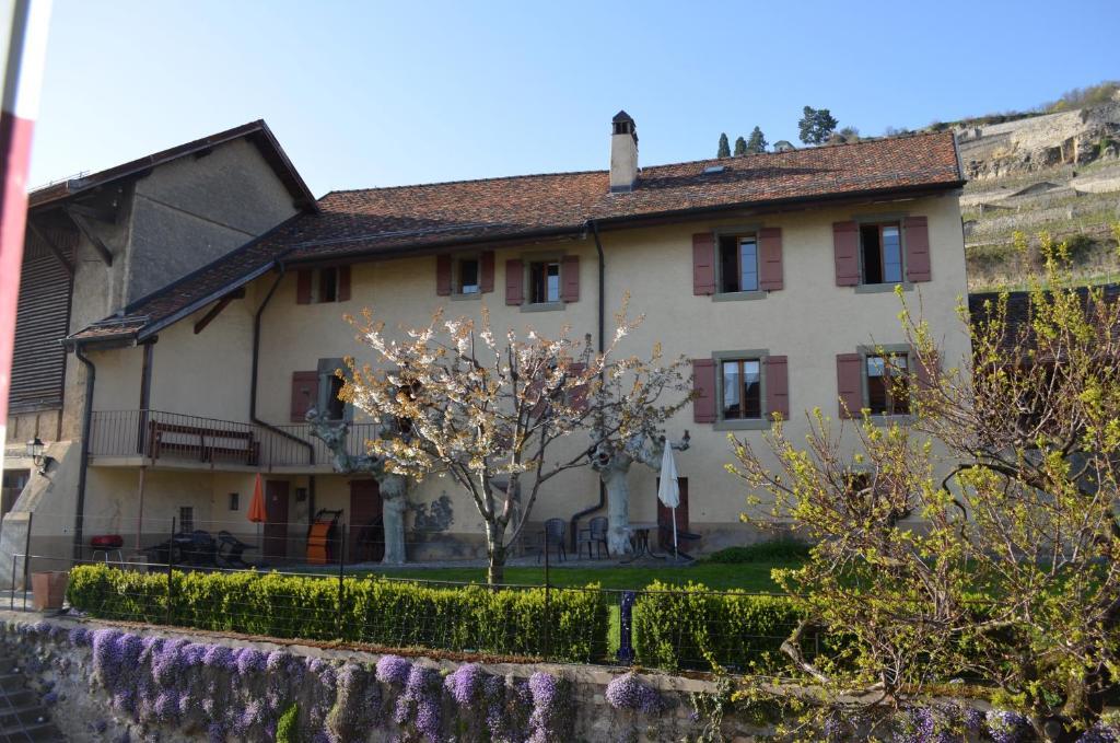 Hotel Domaine Du Burignon Saint-Saphorin Esterno foto