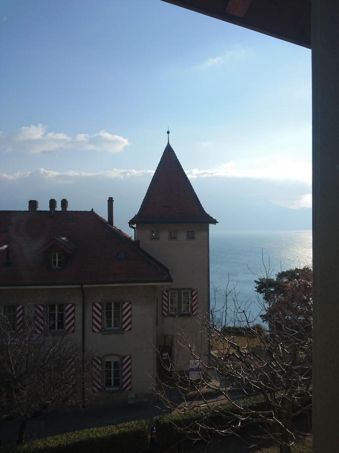 Hotel Domaine Du Burignon Saint-Saphorin Esterno foto